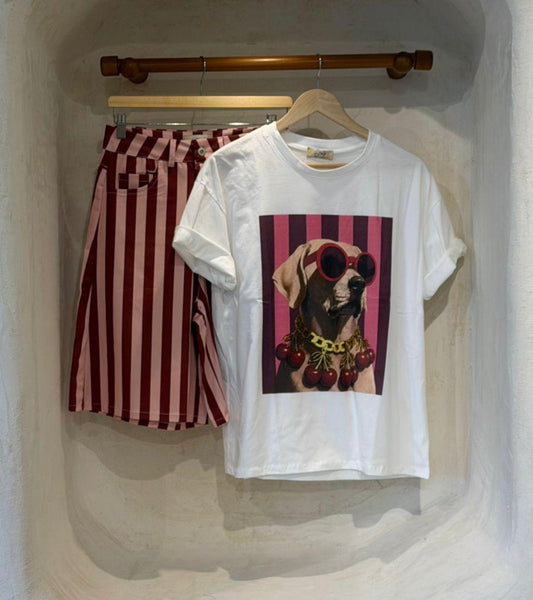 One size t-shirt dog with collarmade in italy