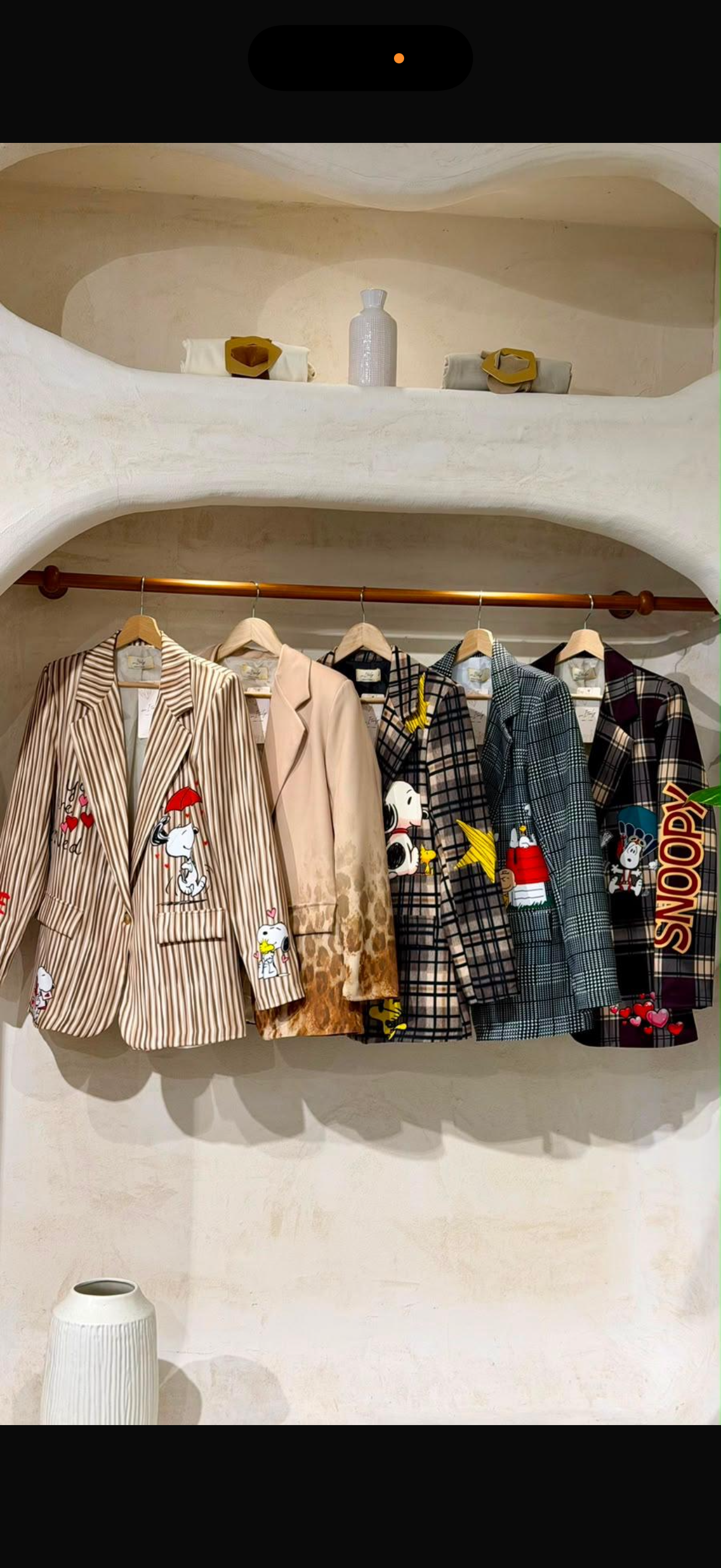 PRE ORDER Snoopy blazers made in Italy one size
